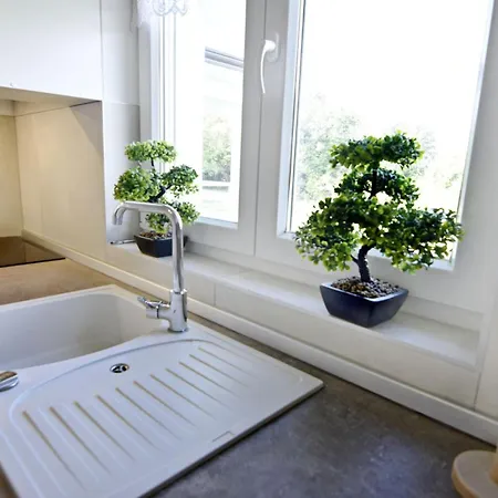 Comfortable With Pool * Buroli