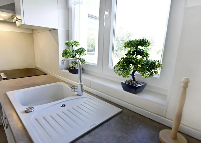 Comfortable With Pool * Buroli